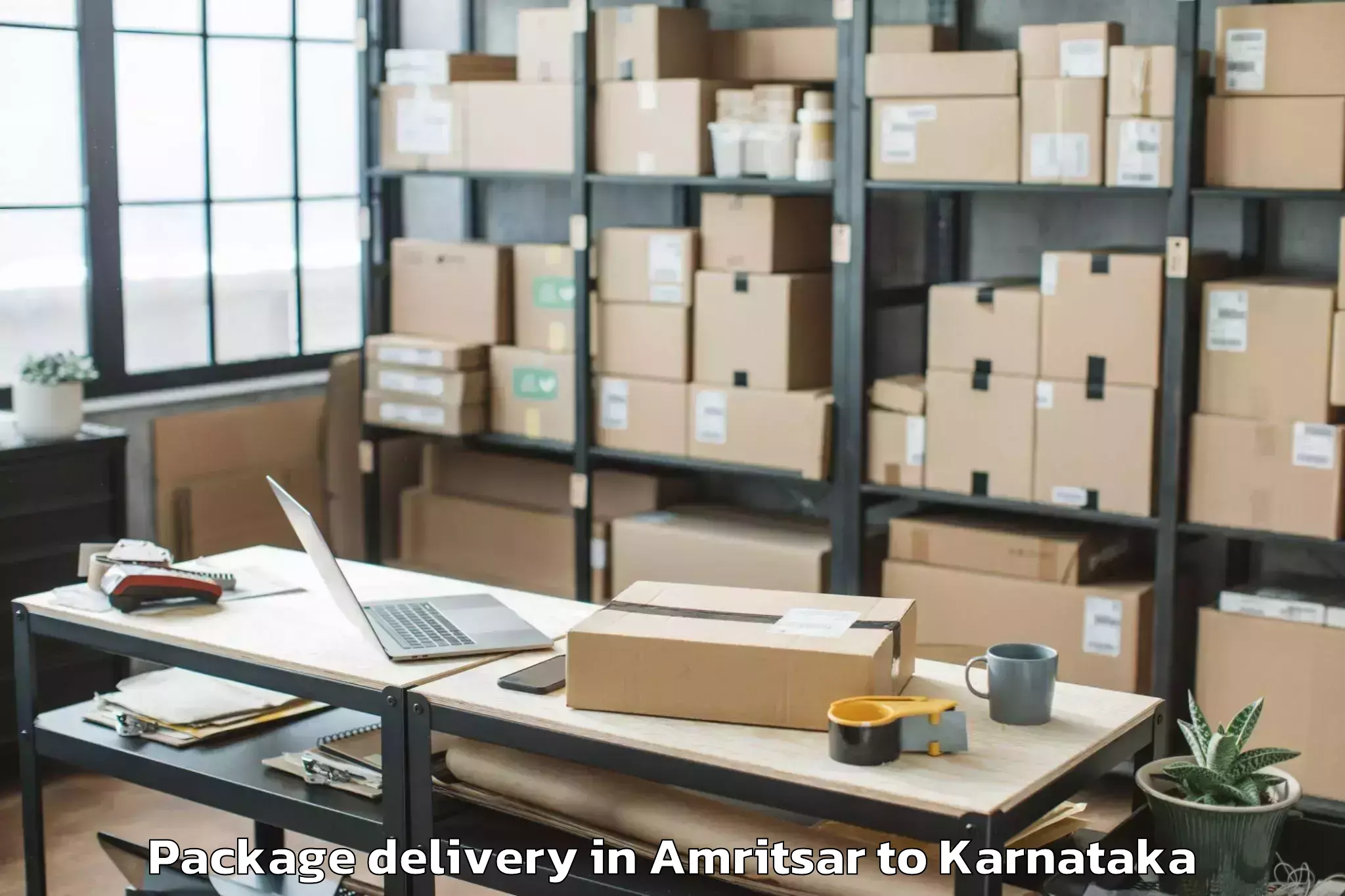 Trusted Amritsar to Holalkere Rural Package Delivery